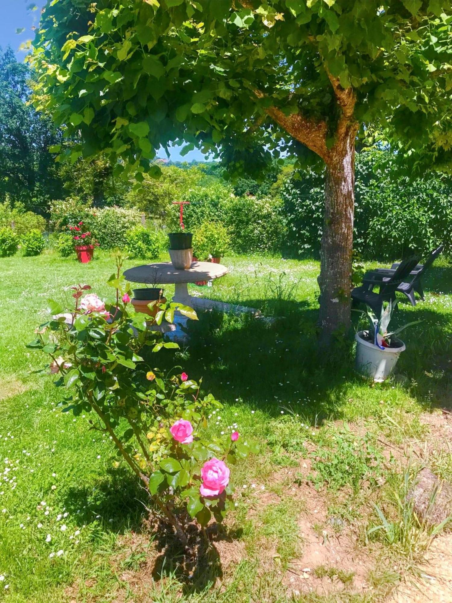 Appartement Charmant A Toulonjac Avec Jardin Et Terrasse 110 M² Exterior foto