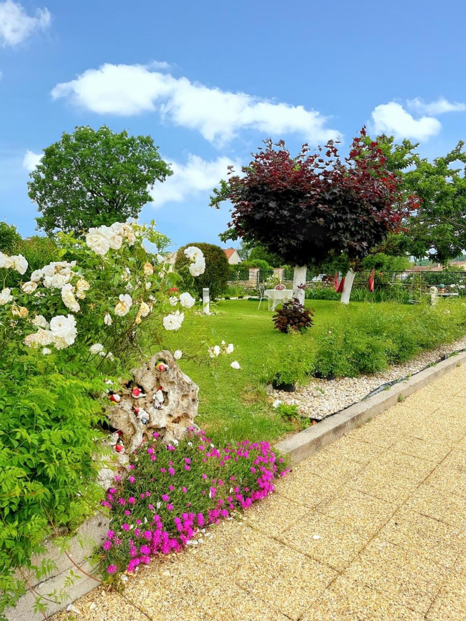 Appartement Charmant A Toulonjac Avec Jardin Et Terrasse 110 M² Exterior foto